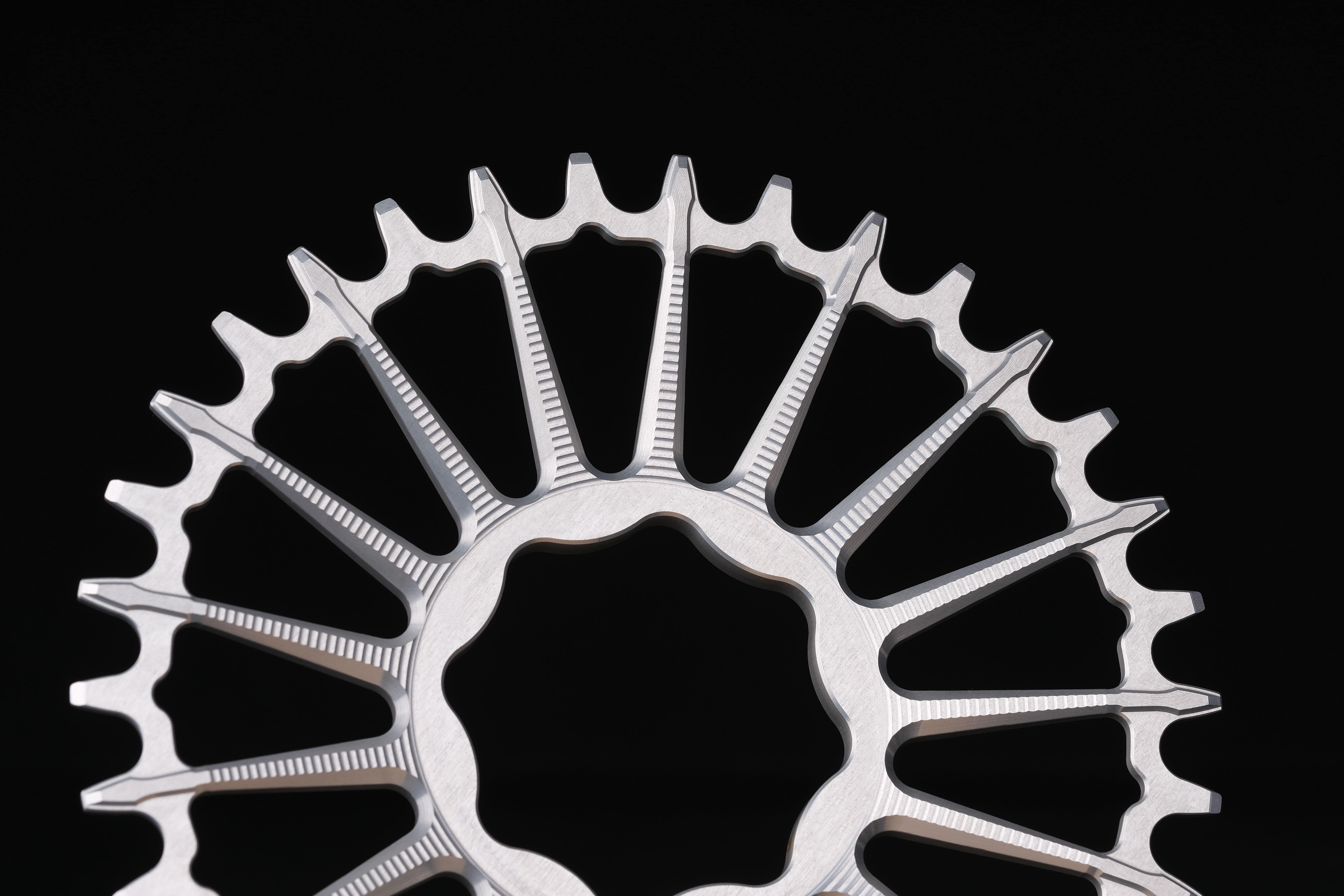 DM MTB chainring for TQ Motor